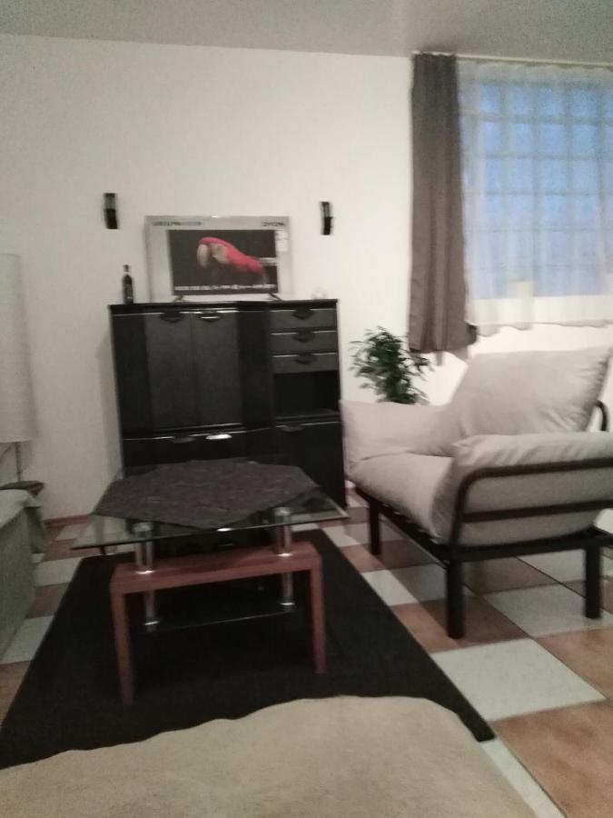 Studiowohnung, Neu Renoviert, Zentrale Lage Saarlouis Luaran gambar